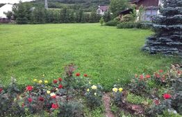 Casa cu 6 camere, 280 mp, teren 3800 mp, Unirii