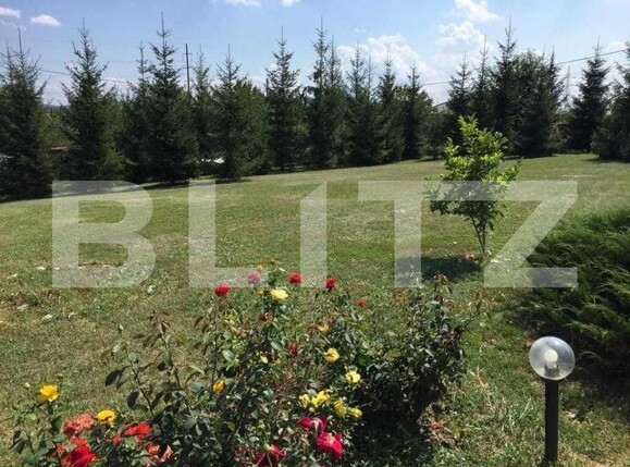 Casa de vânzare 5 camere Unirii - 144962CV | BLITZ Târgu Mureș | Poza4