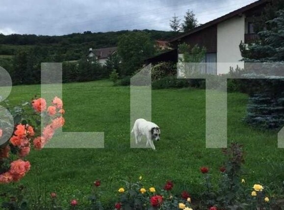 Casa de vânzare 5 camere Unirii - 144962CV | BLITZ Târgu Mureș | Poza7