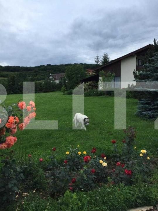 Casa de vânzare 5 camere Unirii - 144962CV | BLITZ Târgu Mureș | Poza7