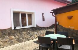 Casa cu 4 camere, 85 mp, teren 40 mp, zona Dambu Pietros