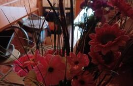 Apartament 2 camere, 42mp, Dambu Pietros