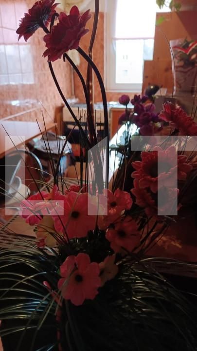 Apartament de vânzare 2 camere Dambu Pietros - 145628AV | BLITZ Târgu Mureș | Poza7