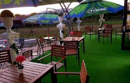 Complex wellness si pensiune, 9 camere, 836mp, Sovata