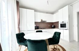 Aparament cu 2 camere si curte, 56mp, Livezeni