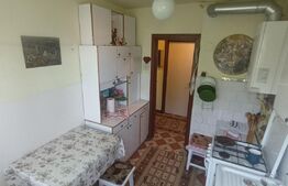 Apartament 2 camere, 48mp, Cornisa
