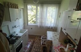 Apartament 2 camere, 48mp, Cornisa