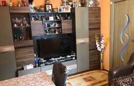 Apartament de 2 camere, etaj intermediar, Rovinari