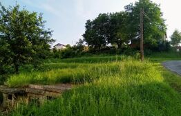 Teren intravilan pe Calea Voinicenilor