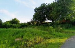 Teren intravilan pe Calea Voinicenilor