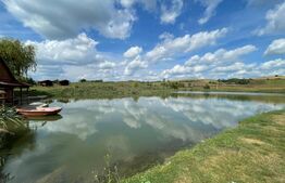 Teren 5.5 ha si lac, in Fanatele Bandului