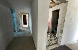 Teren 5.5 ha si lac, in Fanatele Bandului