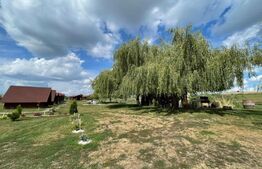Teren 5.5 ha si lac, in Fanatele Bandului