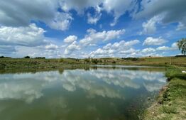 Teren 5.5 ha si lac, in Fanatele Bandului