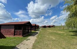 Teren 5.5 ha si lac, in Fanatele Bandului