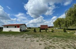 Teren 5.5 ha si lac, in Fanatele Bandului