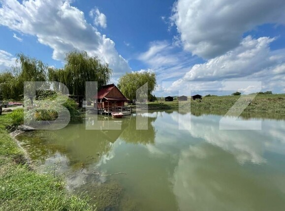 Teren de vânzare Central - 145689TV | BLITZ Târgu Mureș | Poza1