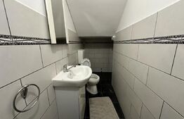 Casa cu 6 camere , 290mp ,teren 500mp, Cristesti