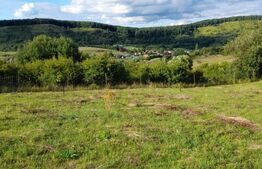 Teren Extravilan 2700 mp - Bozeni 5km de Corunca