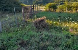 Teren Extravilan 2700 mp - Bozeni 5km de Corunca