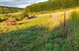 Teren Extravilan 2700 mp - Bozeni 5km de Corunca