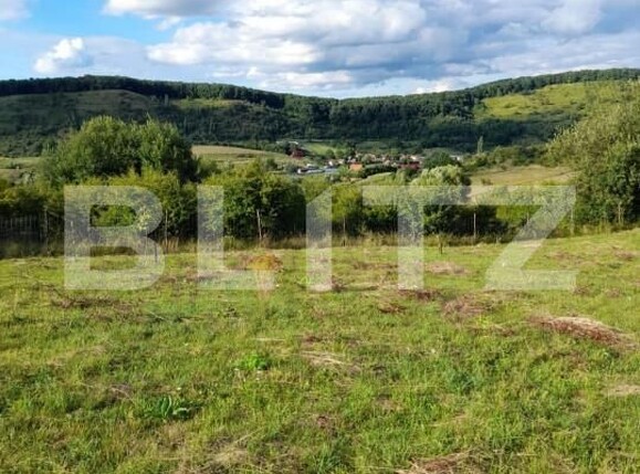 Teren de vânzare Corunca - 145971TV | BLITZ Târgu Mureș | Poza1