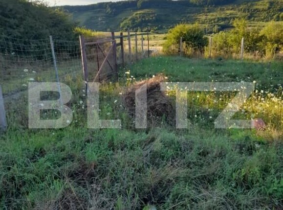 Teren de vânzare Corunca - 145971TV | BLITZ Târgu Mureș | Poza4