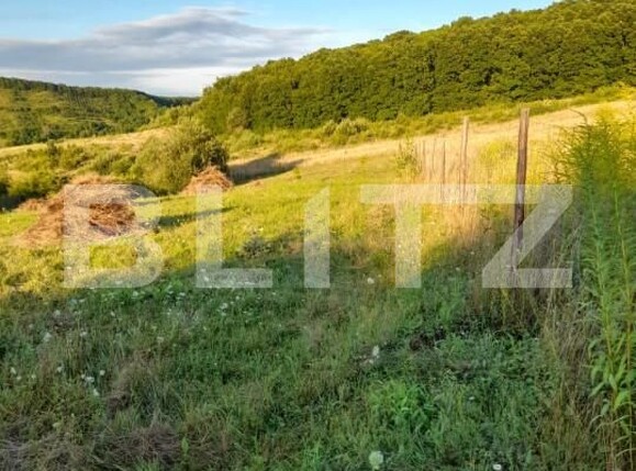 Teren de vânzare Corunca - 145971TV | BLITZ Târgu Mureș | Poza2