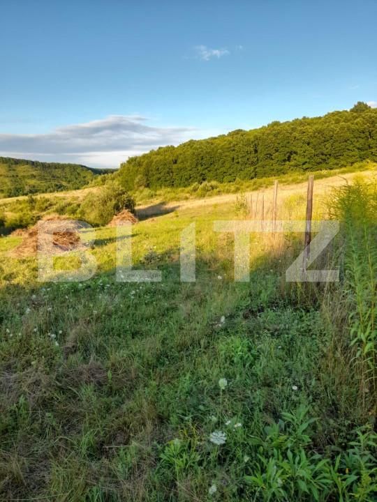 Teren de vânzare Corunca - 145971TV | BLITZ Târgu Mureș | Poza2