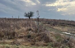 Teren Intravilan 6280 mp , zona Ernei-Selgros DN15