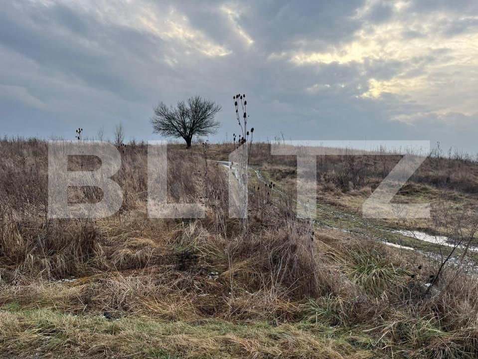 Teren de vânzare Ernei - 145977TV | BLITZ Târgu Mureș | Poza3