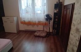 Casa 5 camere,220 mp utili,870 mp teren in Santana de Mures