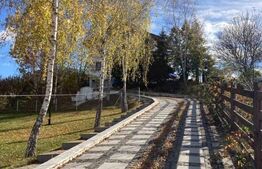 Casă de vânzare de 380mp utili și 3500 mp teren în Sângeorgiu de Mureș