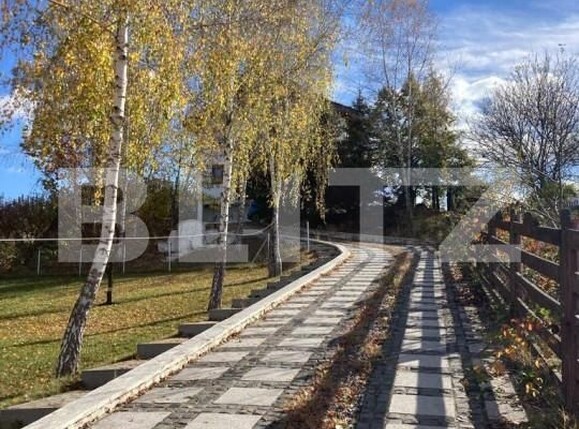 Casa de vânzare 4 camere Sângeorgiu de Mureș - 145980CV | BLITZ Târgu Mureș | Poza4