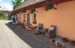 Casa cu 3 camere, 675mp, zona Sangeorgiu