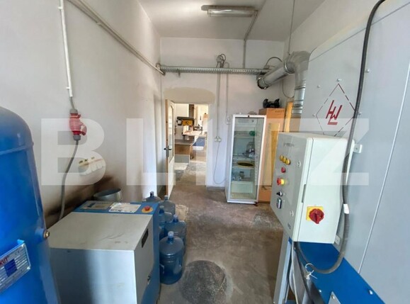 Spațiu comercial de închiriat Sângeorgiu de Mureș - 145985SIC | BLITZ Târgu Mureș | Poza9