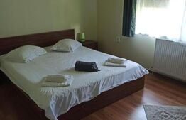 Casa tip vila 8 camere, 350mp, zona Corunca