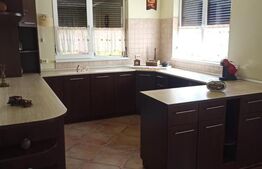 Casa tip vila 8 camere, 350mp, zona Corunca
