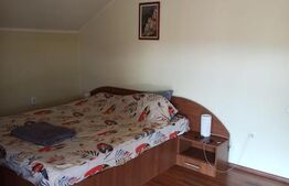 Casa tip vila 8 camere, 350mp, zona Corunca