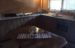 Casa tip vila 8 camere, 350mp, zona Corunca