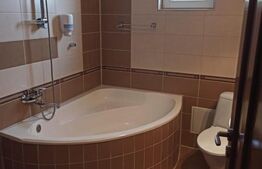 Casa tip vila 8 camere, 350mp, zona Corunca