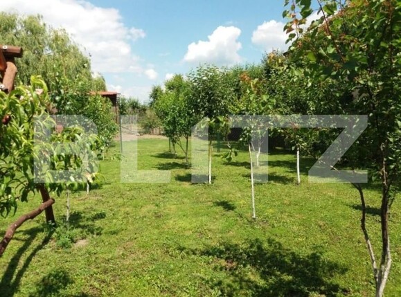 Casa de vânzare 3 camere Sângeorgiu de Mureș - 145993CV | BLITZ Târgu Mureș | Poza4