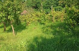 Doua parcele pe acelasi teren zona Sangeorgiu