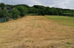 Doua parcele pe acelasi teren zona Sangeorgiu