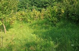 Doua parcele pe acelasi teren zona Sangeorgiu