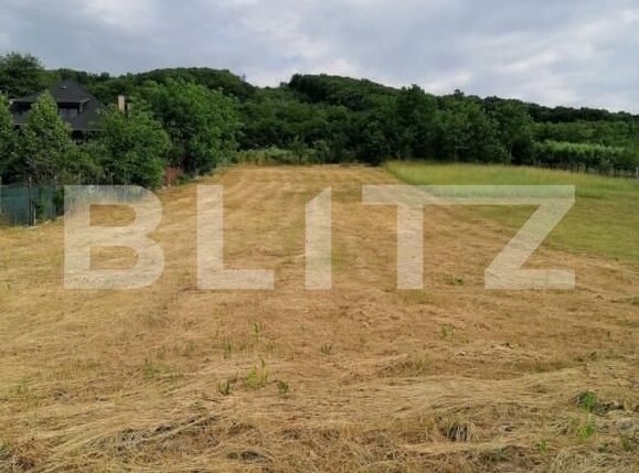 Teren de vânzare Sângeorgiu de Mureș - 145994TV | BLITZ Târgu Mureș | Poza6