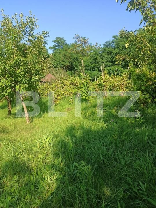 Teren de vânzare Sângeorgiu de Mureș - 145994TV | BLITZ Târgu Mureș | Poza2