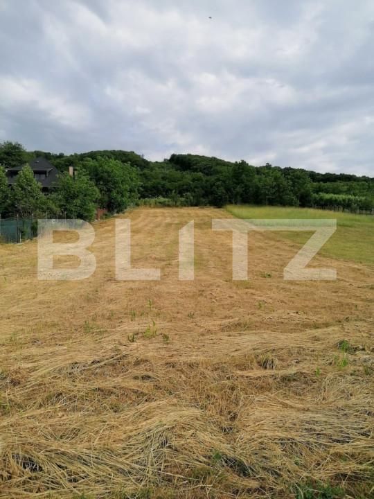 Teren de vânzare Sângeorgiu de Mureș - 145994TV | BLITZ Târgu Mureș | Poza6