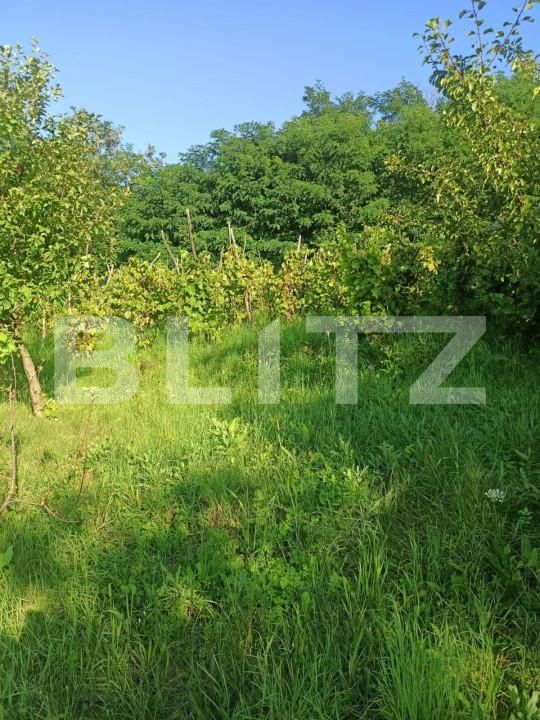 Teren de vânzare Sângeorgiu de Mureș - 145994TV | BLITZ Târgu Mureș | Poza3