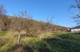 Oportunitate! Teren intravilan, 1200 mp, loc Corunca 